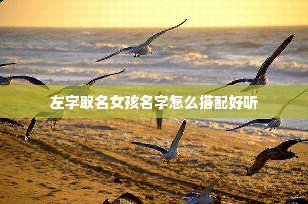 左字取名女孩名字怎么搭配好听