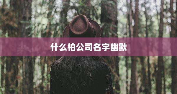 什么柏公司名字幽默