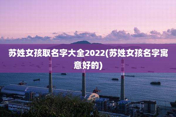 苏姓女孩取名字大全2022(苏姓女孩名字寓意好的)