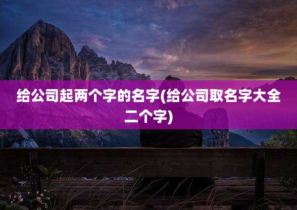 给公司起两个字的名字(给公司取名字大全二个字)