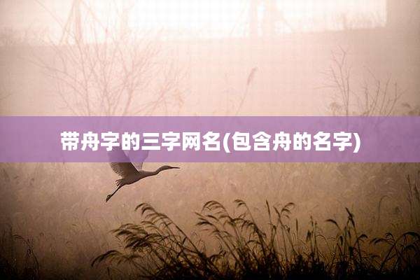 带舟字的三字网名(包含舟的名字)