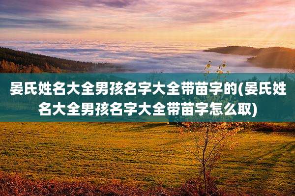 晏氏姓名大全男孩名字大全带苗字的(晏氏姓名大全男孩名字大全带苗字怎么取)
