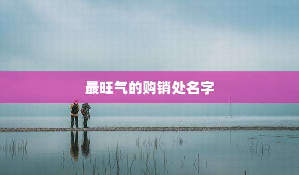 最旺气的购销处名字