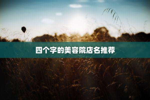 四个字的美容院店名推荐