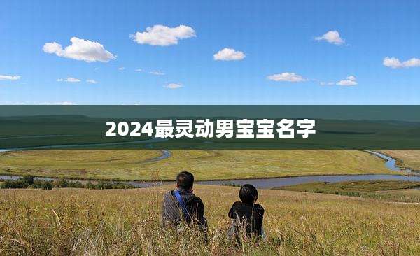 2024最灵动男宝宝名字