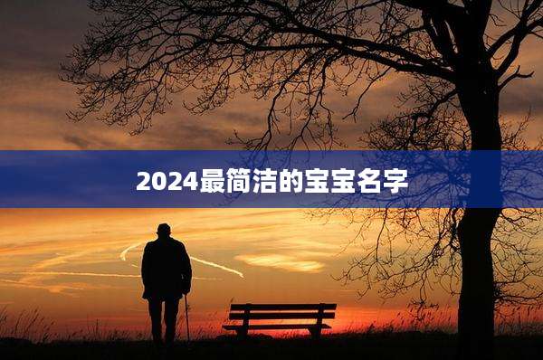 2024最简洁的宝宝名字