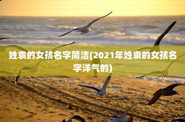 姓袁的女孩名字简洁(2021年姓袁的女孩名字洋气的)