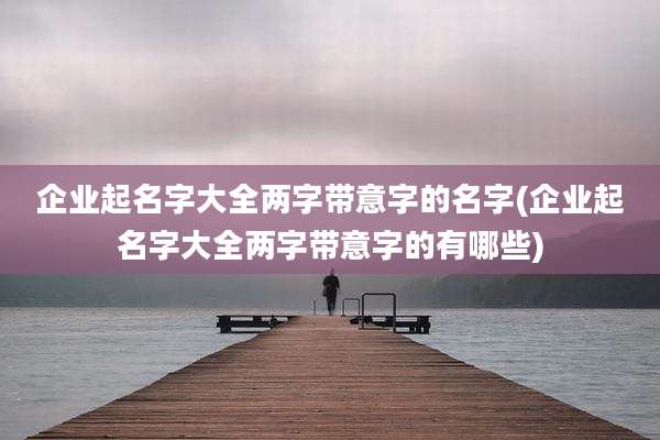 企业起名字大全两字带意字的名字(企业起名字大全两字带意字的有哪些)