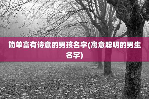 简单富有诗意的男孩名字(寓意聪明的男生名字)