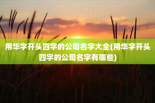 用华字开头四字的公司名字大全(用华字开头四字的公司名字有哪些)
