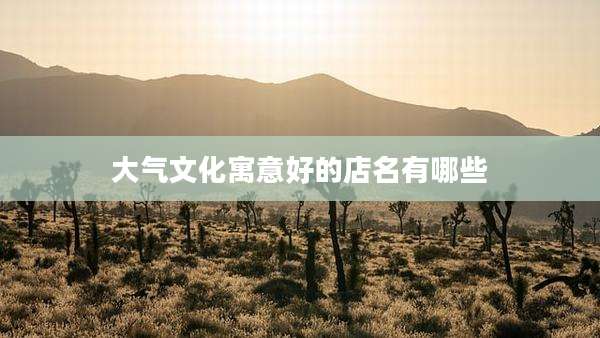 大气文化寓意好的店名有哪些
