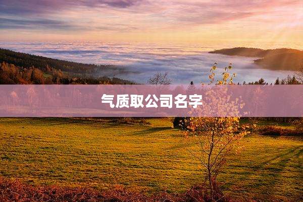 气质取公司名字