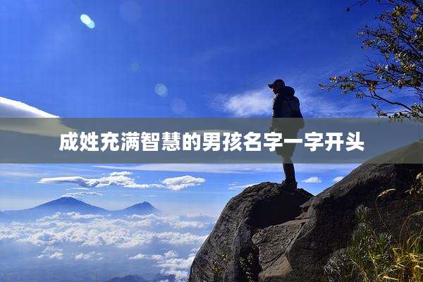 成姓充满智慧的男孩名字一字开头