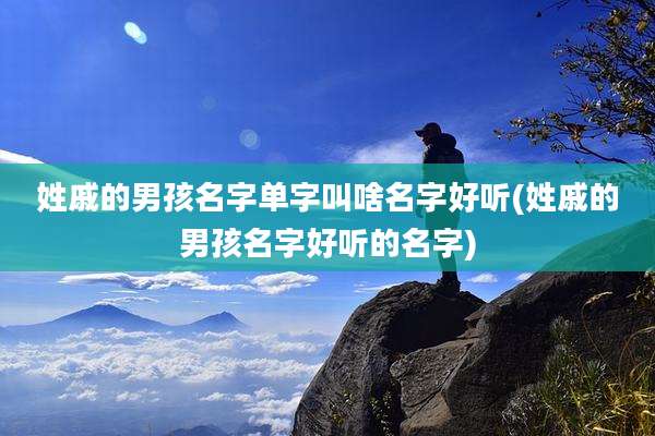 姓戚的男孩名字单字叫啥名字好听(姓戚的男孩名字好听的名字)