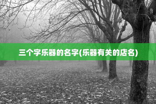 三个字乐器的名字(乐器有关的店名)