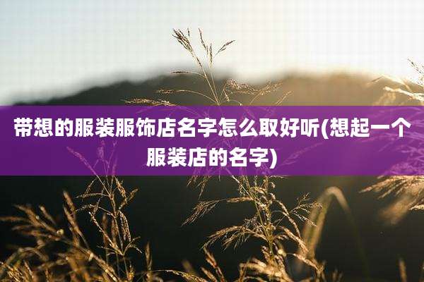 带想的服装服饰店名字怎么取好听(想起一个服装店的名字)