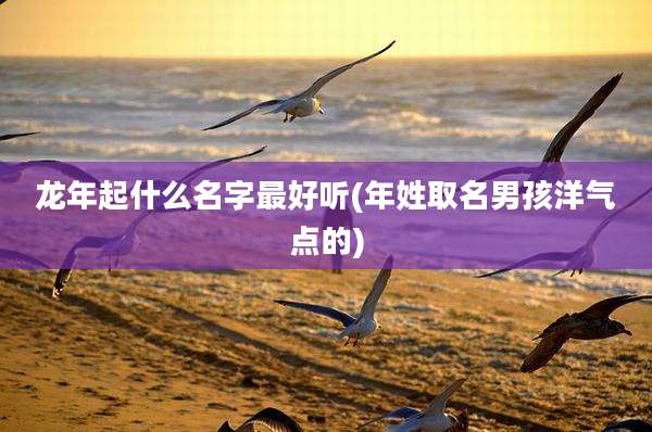 龙年起什么名字最好听(年姓取名男孩洋气点的)