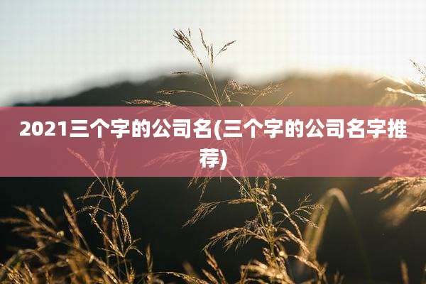 2021三个字的公司名(三个字的公司名字推荐)