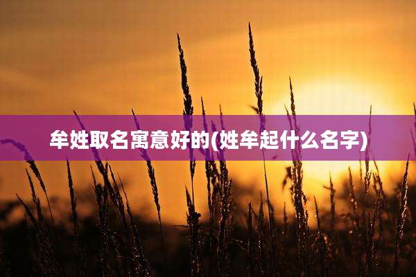 牟姓取名寓意好的(姓牟起什么名字)