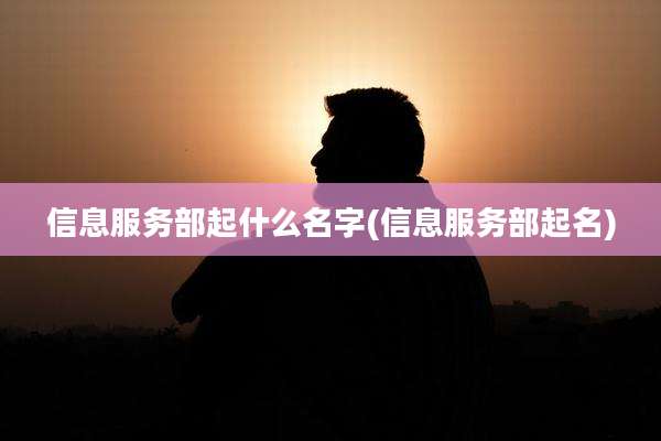 信息服务部起什么名字(信息服务部起名)