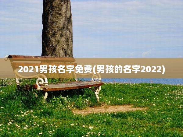 2021男孩名字免费(男孩的名字2022)