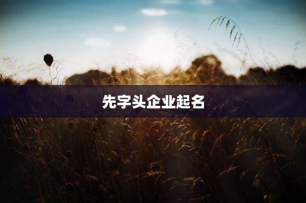 先字头企业起名