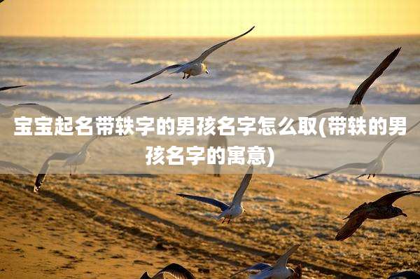 宝宝起名带轶字的男孩名字怎么取(带轶的男孩名字的寓意)