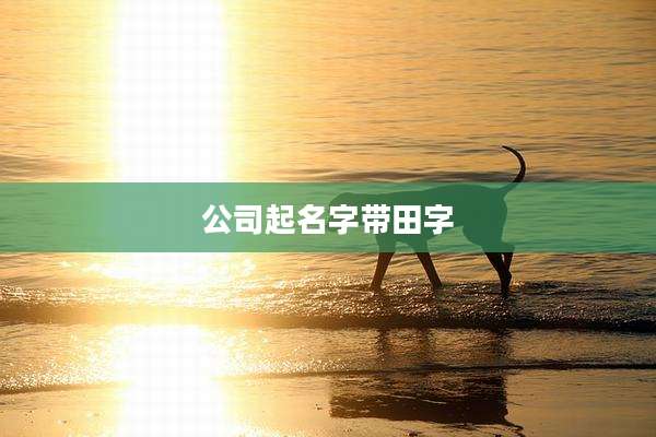 公司起名字带田字