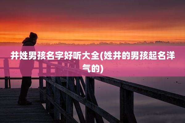 井姓男孩名字好听大全(姓井的男孩起名洋气的)