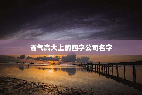 霸气高大上的四字公司名字