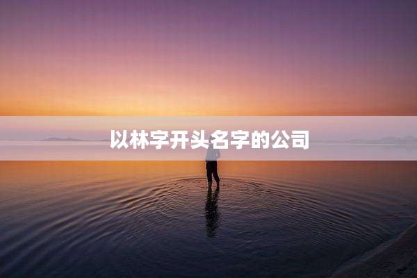 以林字开头名字的公司