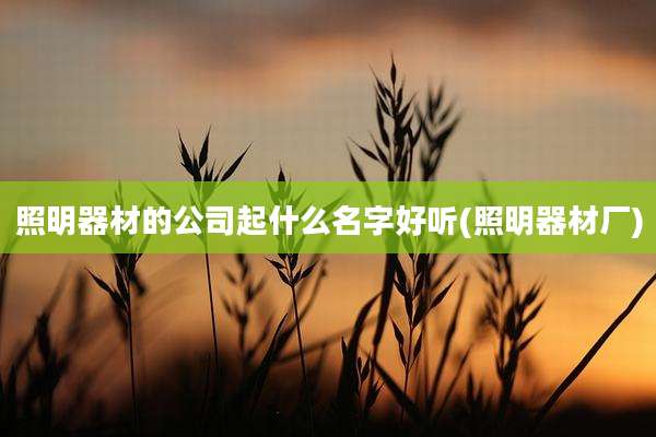 照明器材的公司起什么名字好听(照明器材厂)