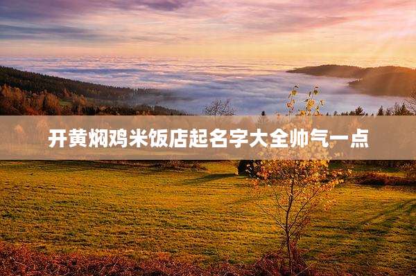 开黄焖鸡米饭店起名字大全帅气一点