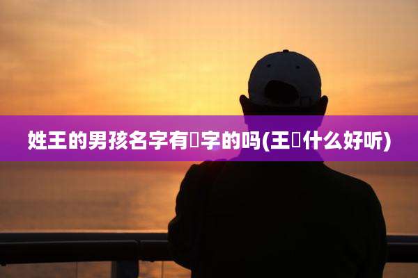 姓王的男孩名字有彧字的吗(王彧什么好听)
