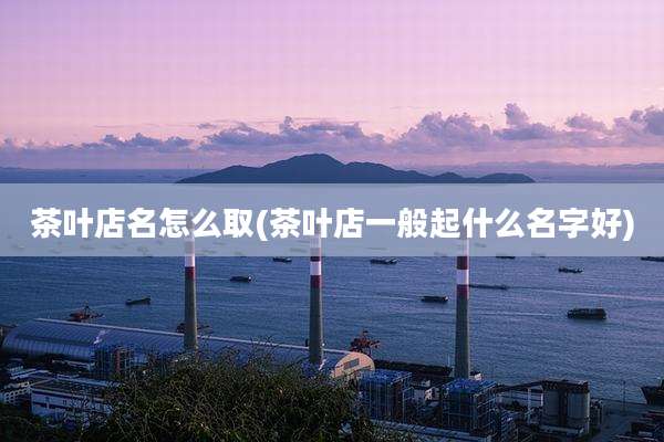 茶叶店名怎么取(茶叶店一般起什么名字好)