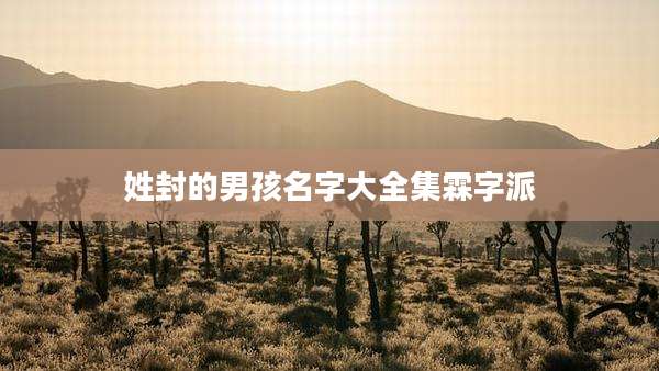 姓封的男孩名字大全集霖字派