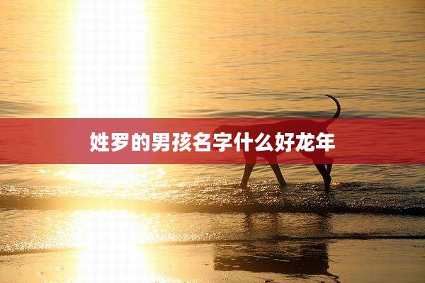 姓罗的男孩名字什么好龙年