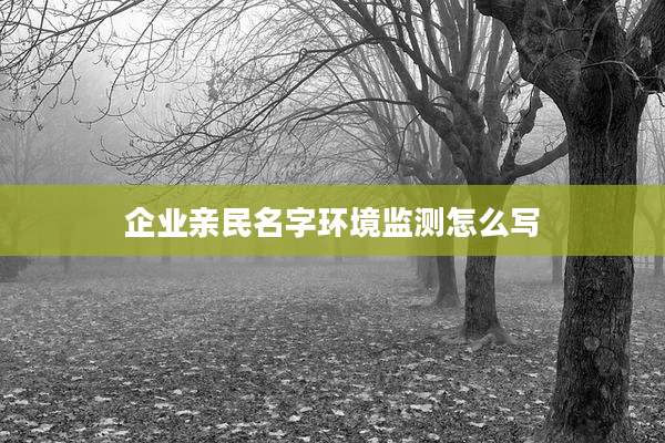 企业亲民名字环境监测怎么写