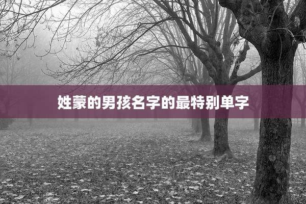 姓蒙的男孩名字的最特别单字