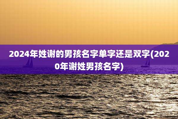 2024年姓谢的男孩名字单字还是双字(2020年谢姓男孩名字)