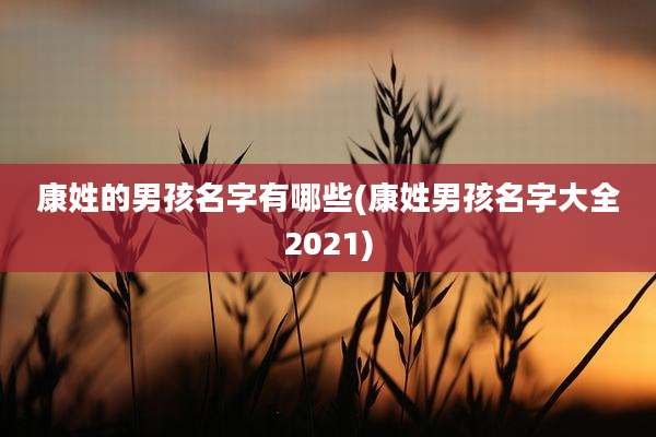 康姓的男孩名字有哪些(康姓男孩名字大全2021)