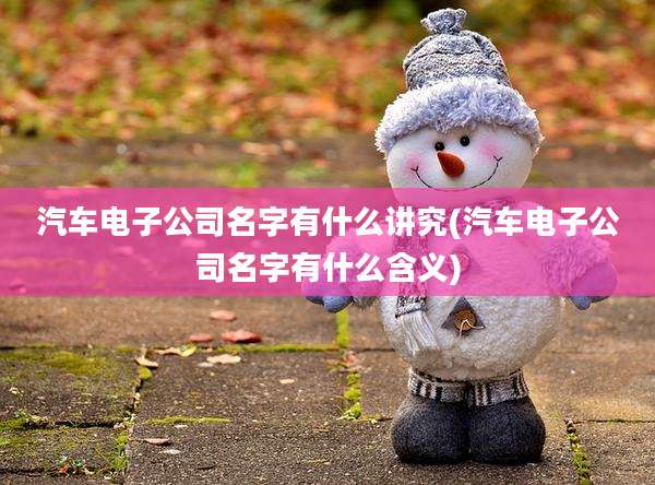 汽车电子公司名字有什么讲究(汽车电子公司名字有什么含义)