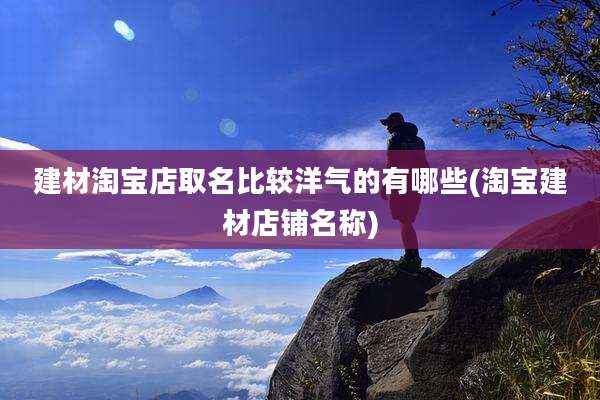 建材淘宝店取名比较洋气的有哪些(淘宝建材店铺名称)