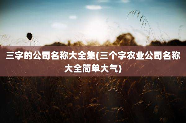 三字的公司名称大全集(三个字农业公司名称大全简单大气)