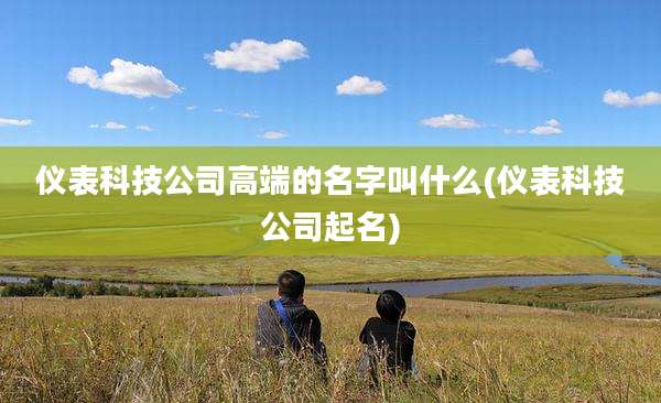 仪表科技公司高端的名字叫什么(仪表科技公司起名)