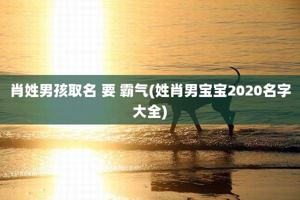 肖姓男孩取名 要 霸气(姓肖男宝宝2020名字大全)