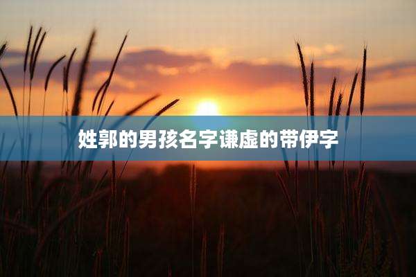 姓郭的男孩名字谦虚的带伊字