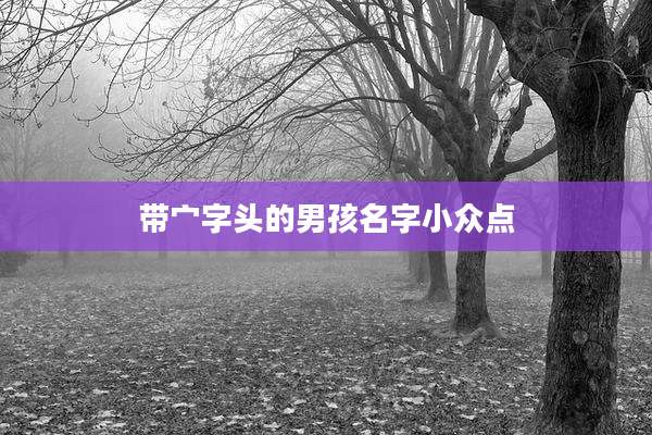 带宀字头的男孩名字小众点