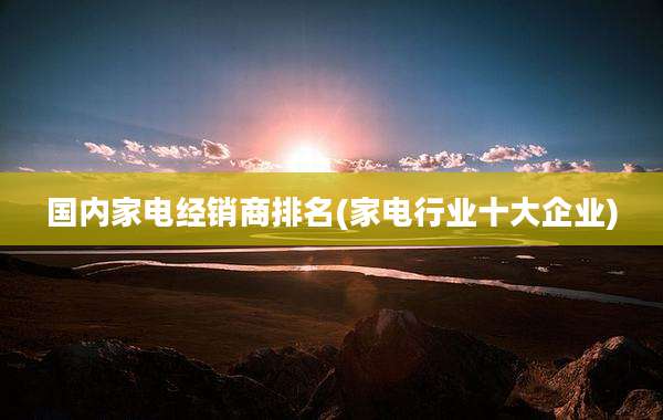 国内家电经销商排名(家电行业十大企业)