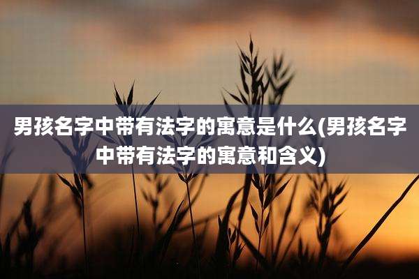 男孩名字中带有法字的寓意是什么(男孩名字中带有法字的寓意和含义)